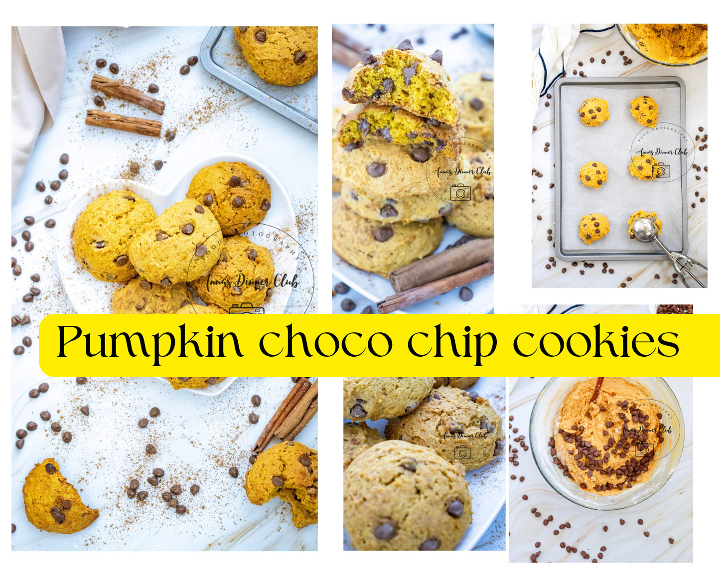 Back to school bundle 5 recipes - limited PLR set