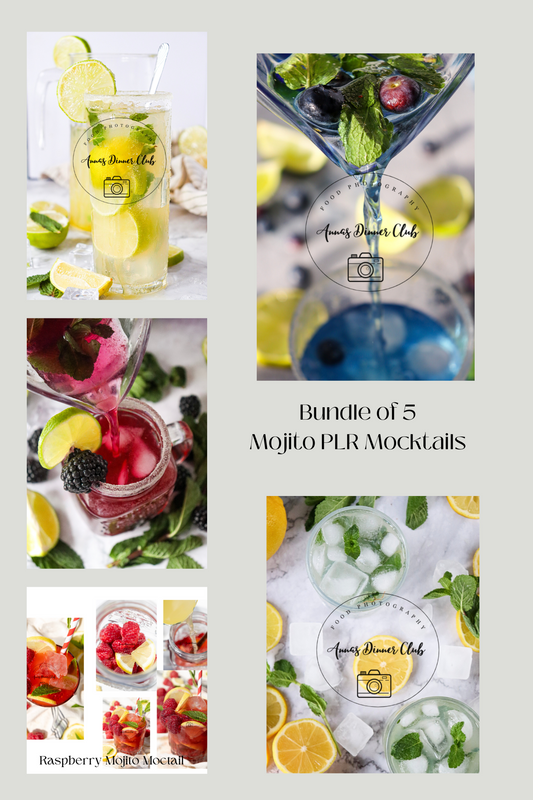 Bundle of 5 Mojito Mocktails PLR set