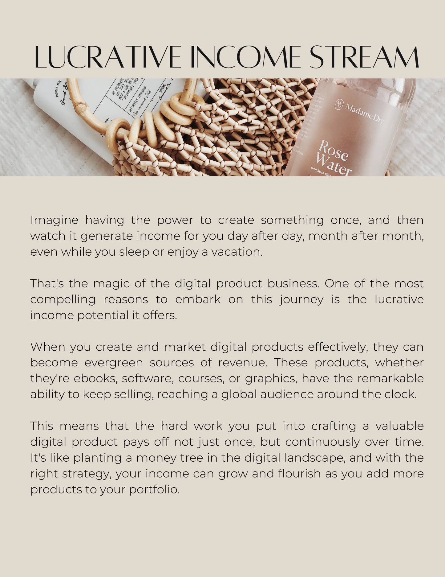 The boss babe guide to financial freedom PLR MMR RESELL RIGHTS