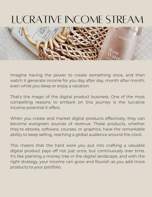 The boss babe guide to financial freedom PLR MMR RESELL RIGHTS