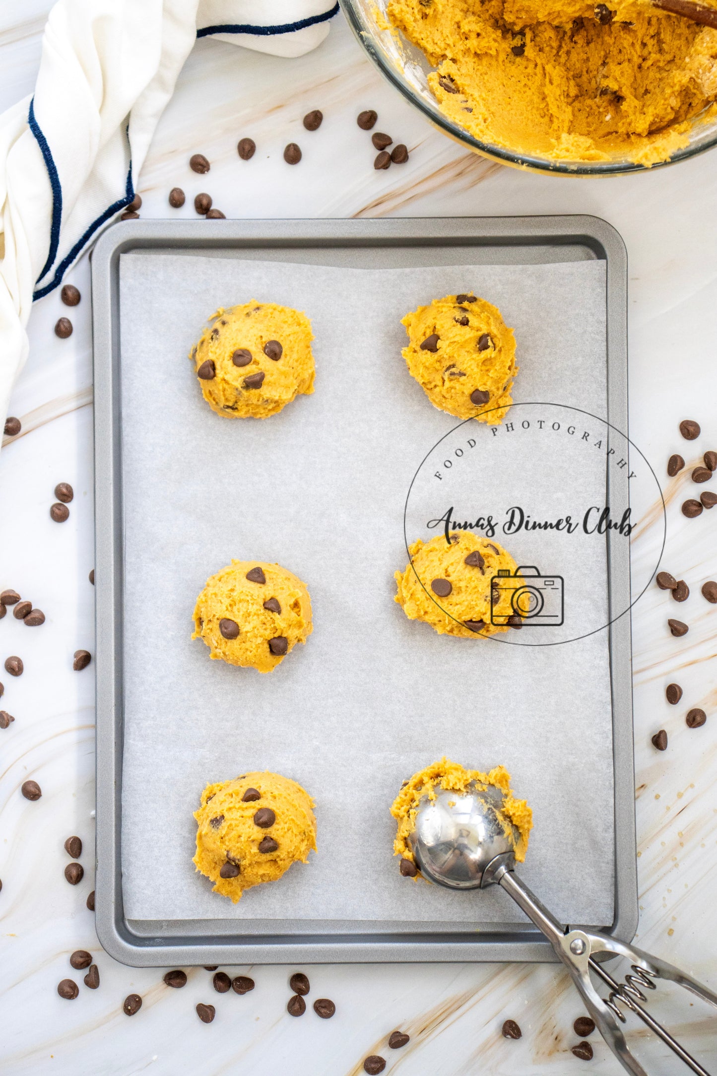 Chocolate chip pumpkin cookies LIMITED PLR SET