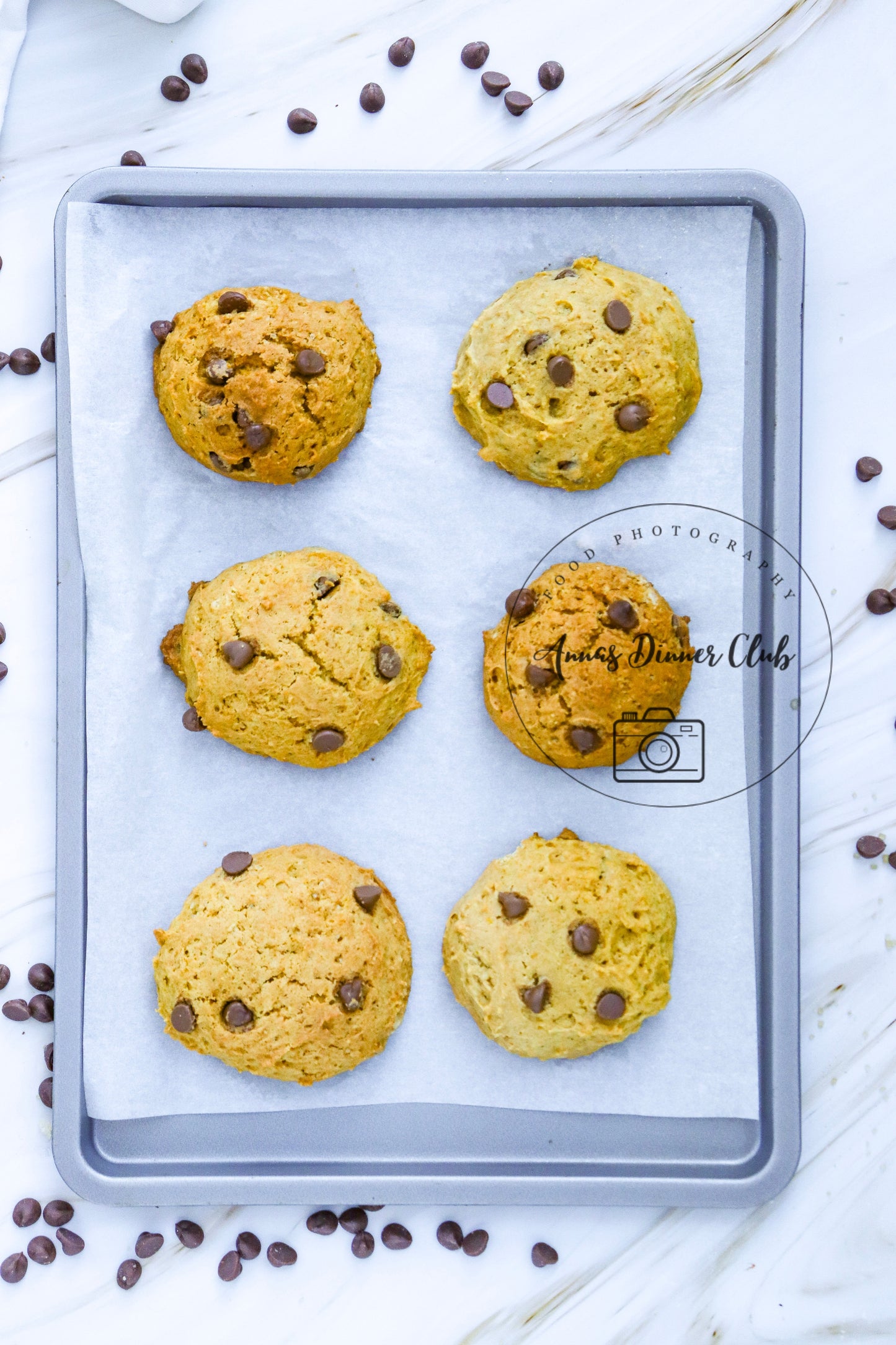 Chocolate chip pumpkin cookies LIMITED PLR SET