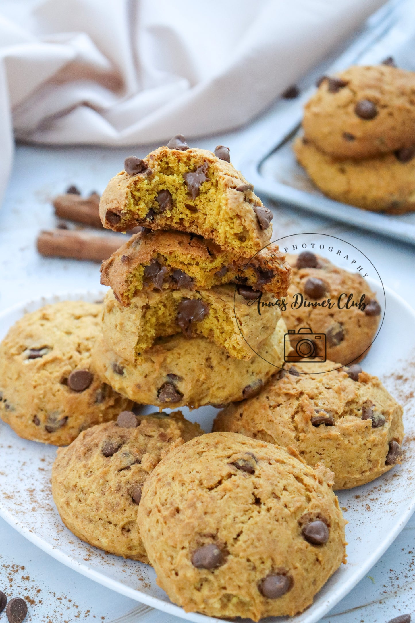 Chocolate chip pumpkin cookies LIMITED PLR SET