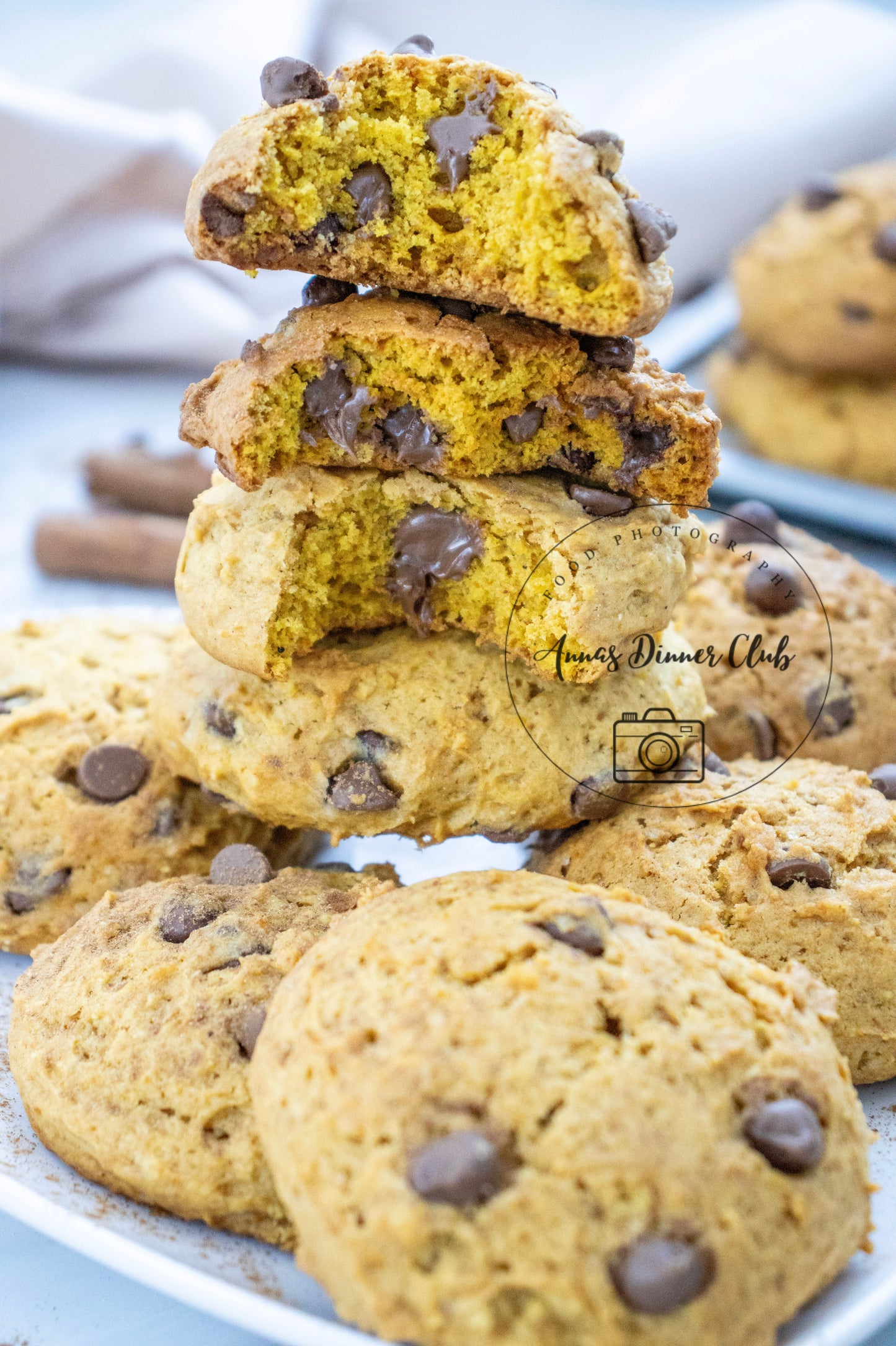 Chocolate chip pumpkin cookies LIMITED PLR SET