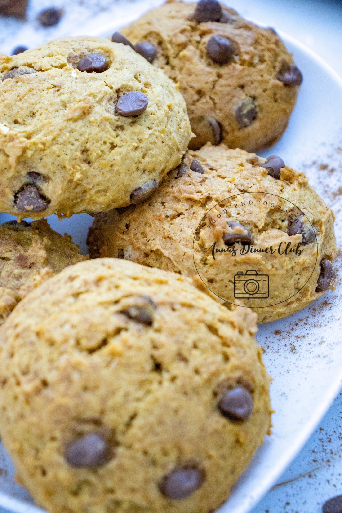 Chocolate chip pumpkin cookies LIMITED PLR SET