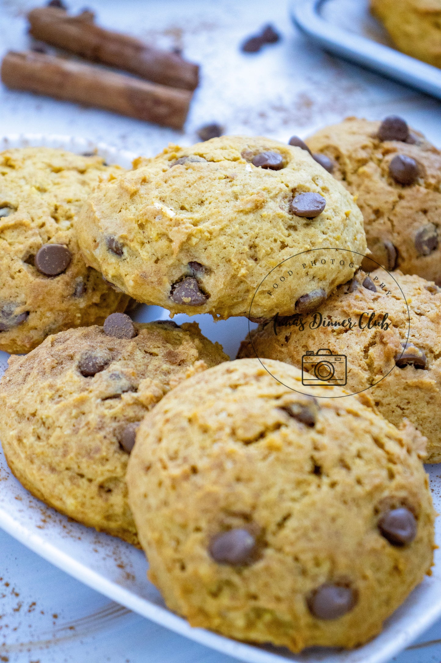 Chocolate chip pumpkin cookies LIMITED PLR SET