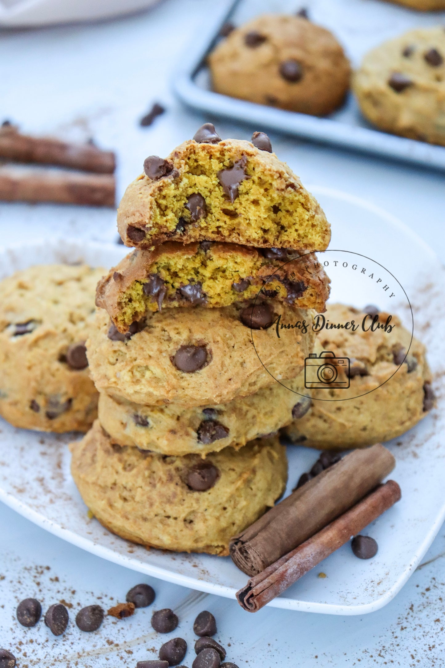 Chocolate chip pumpkin cookies LIMITED PLR SET
