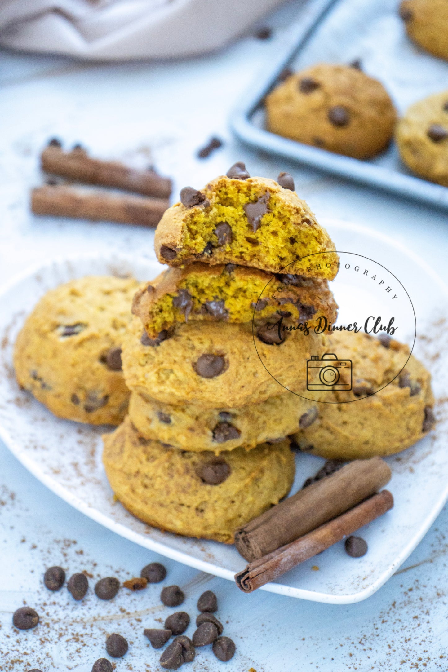 Chocolate chip pumpkin cookies LIMITED PLR SET