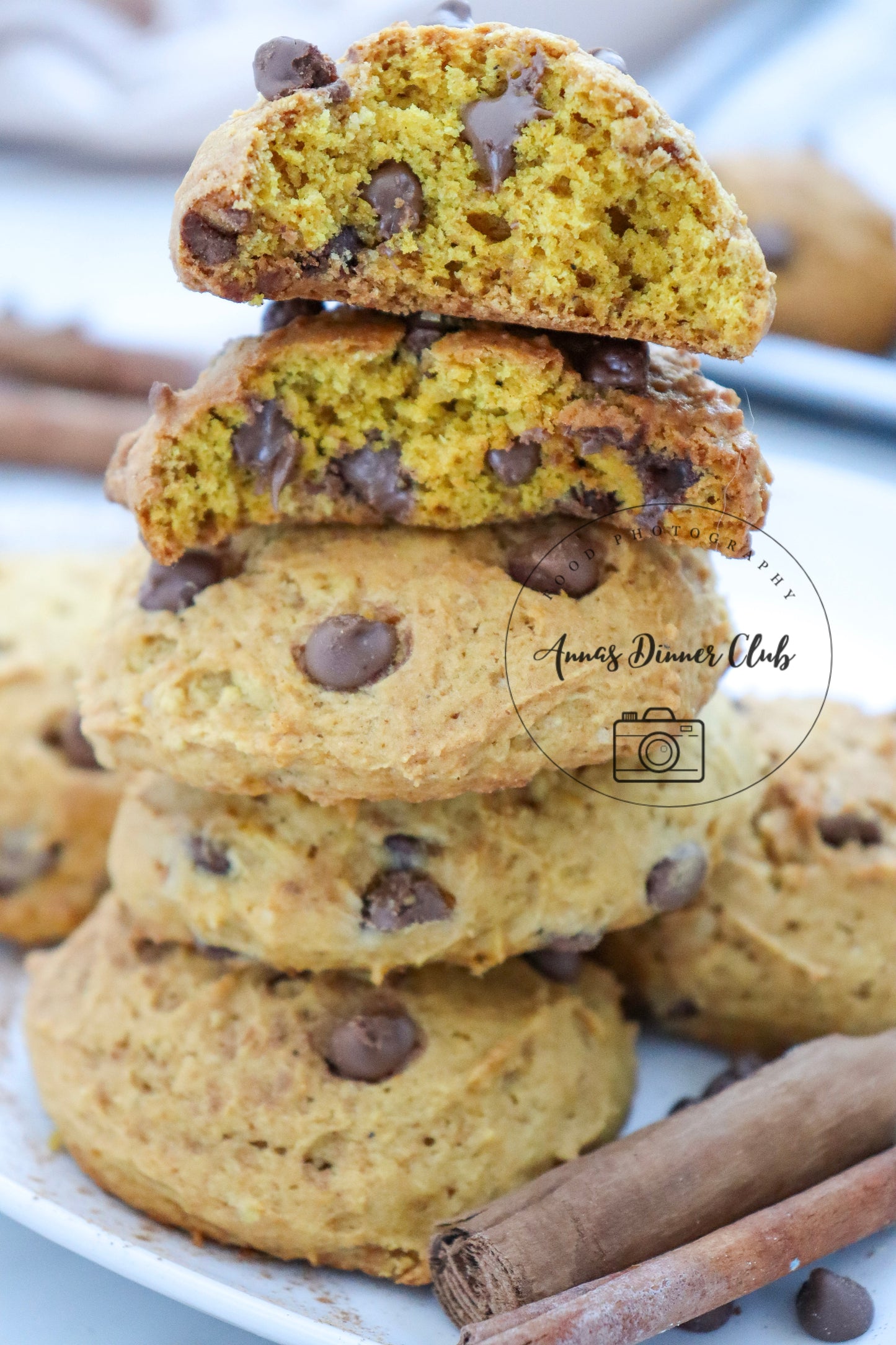 Chocolate chip pumpkin cookies LIMITED PLR SET