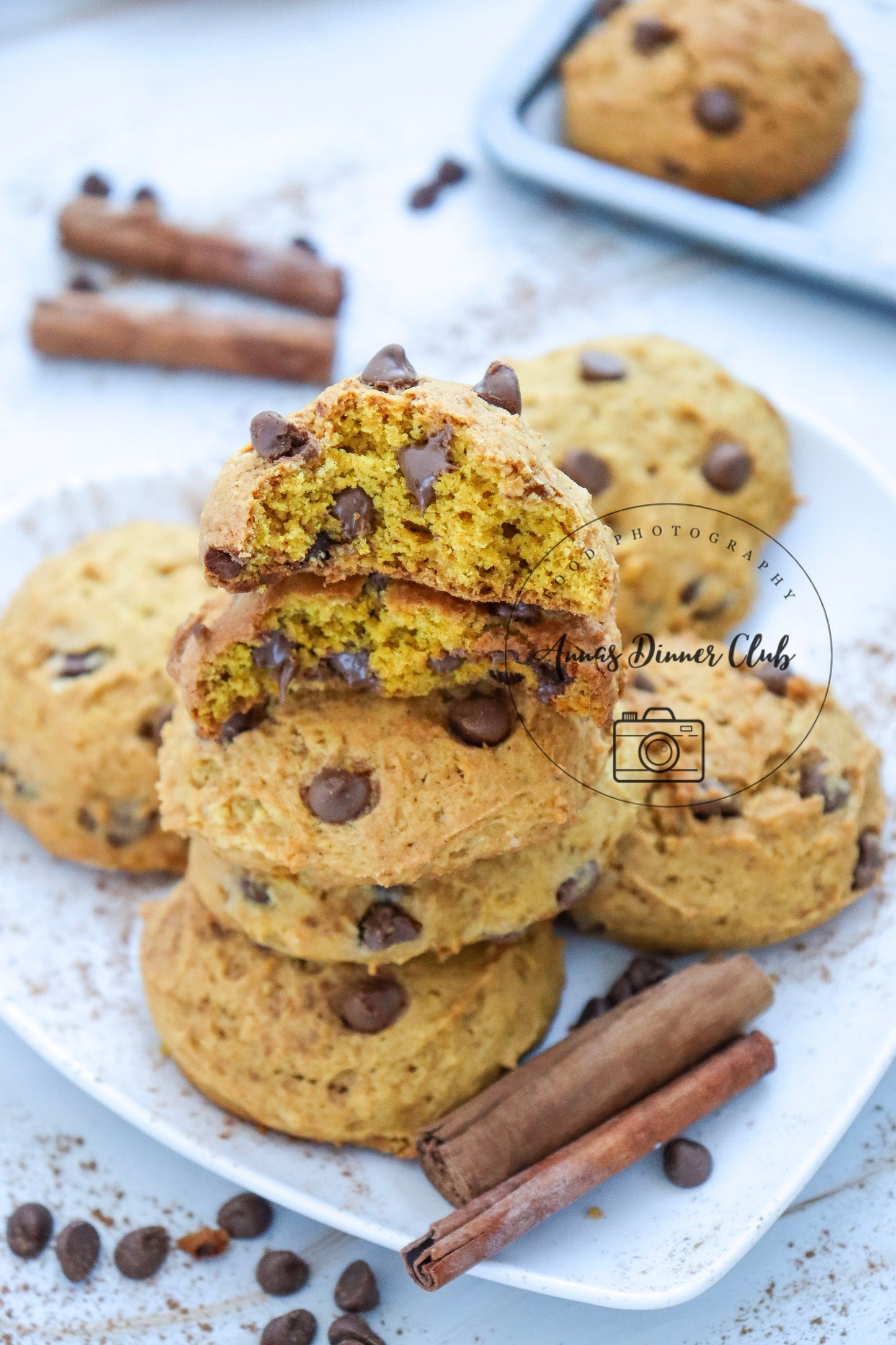 Chocolate chip pumpkin cookies LIMITED PLR SET