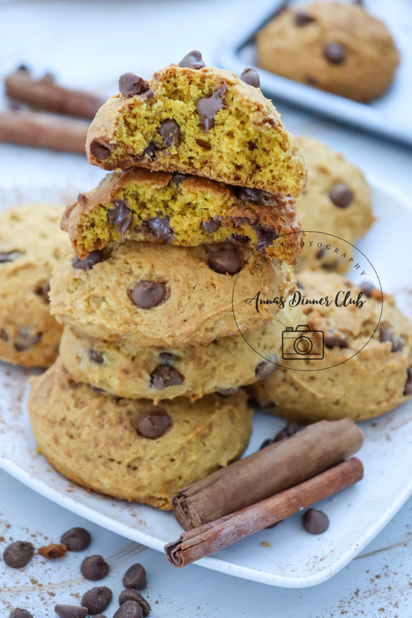 Chocolate chip pumpkin cookies LIMITED PLR SET
