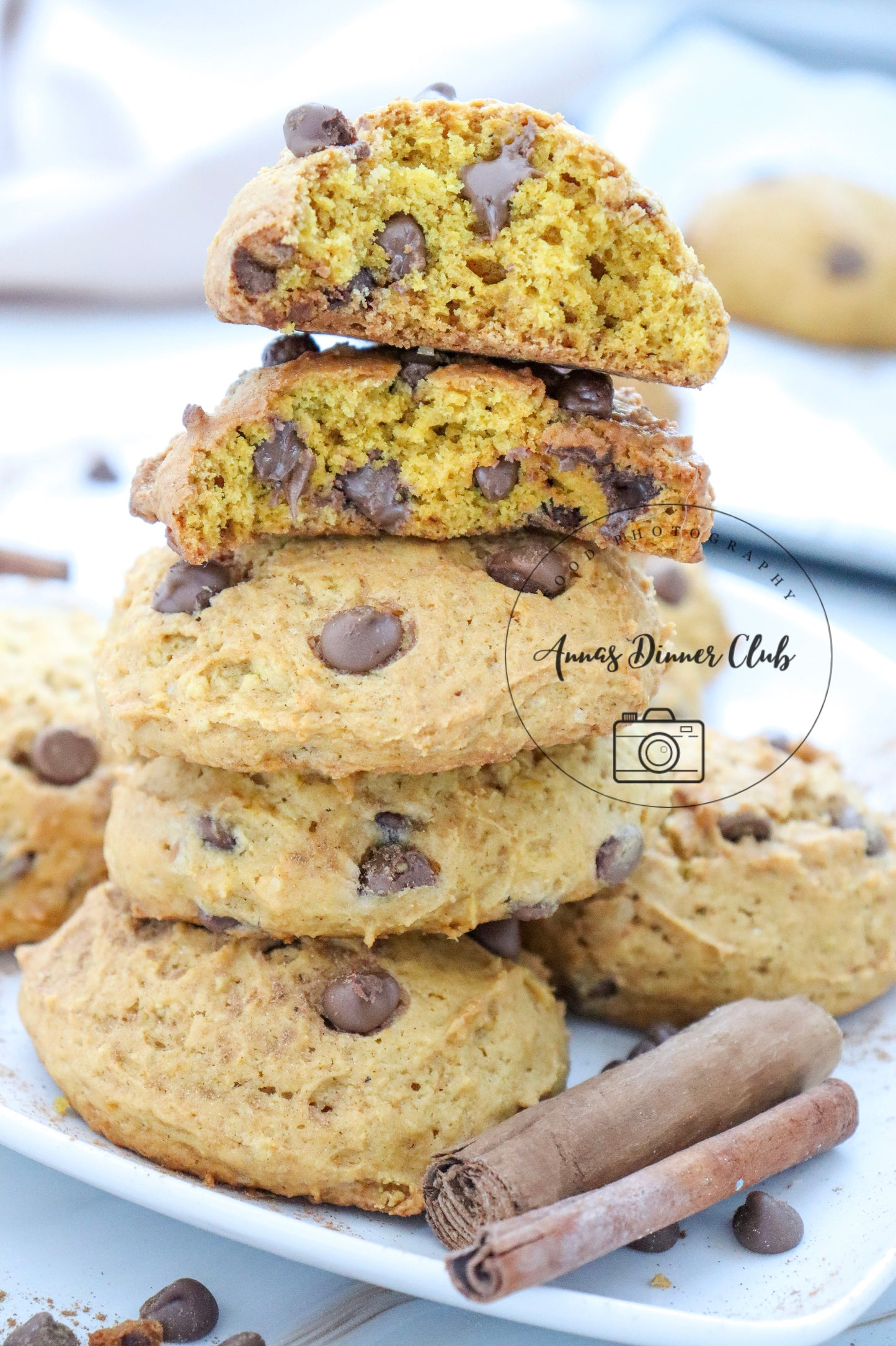 Chocolate chip pumpkin cookies LIMITED PLR SET