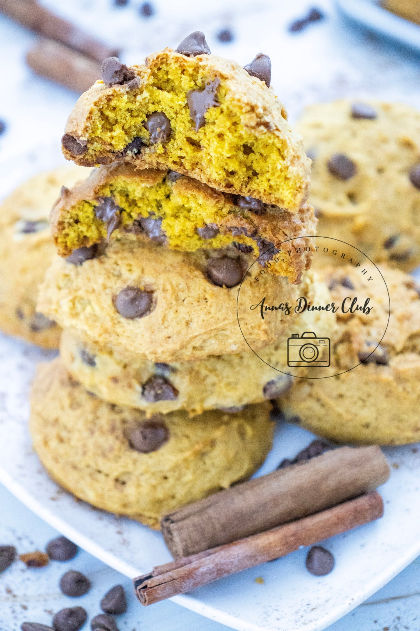 Chocolate chip pumpkin cookies LIMITED PLR SET