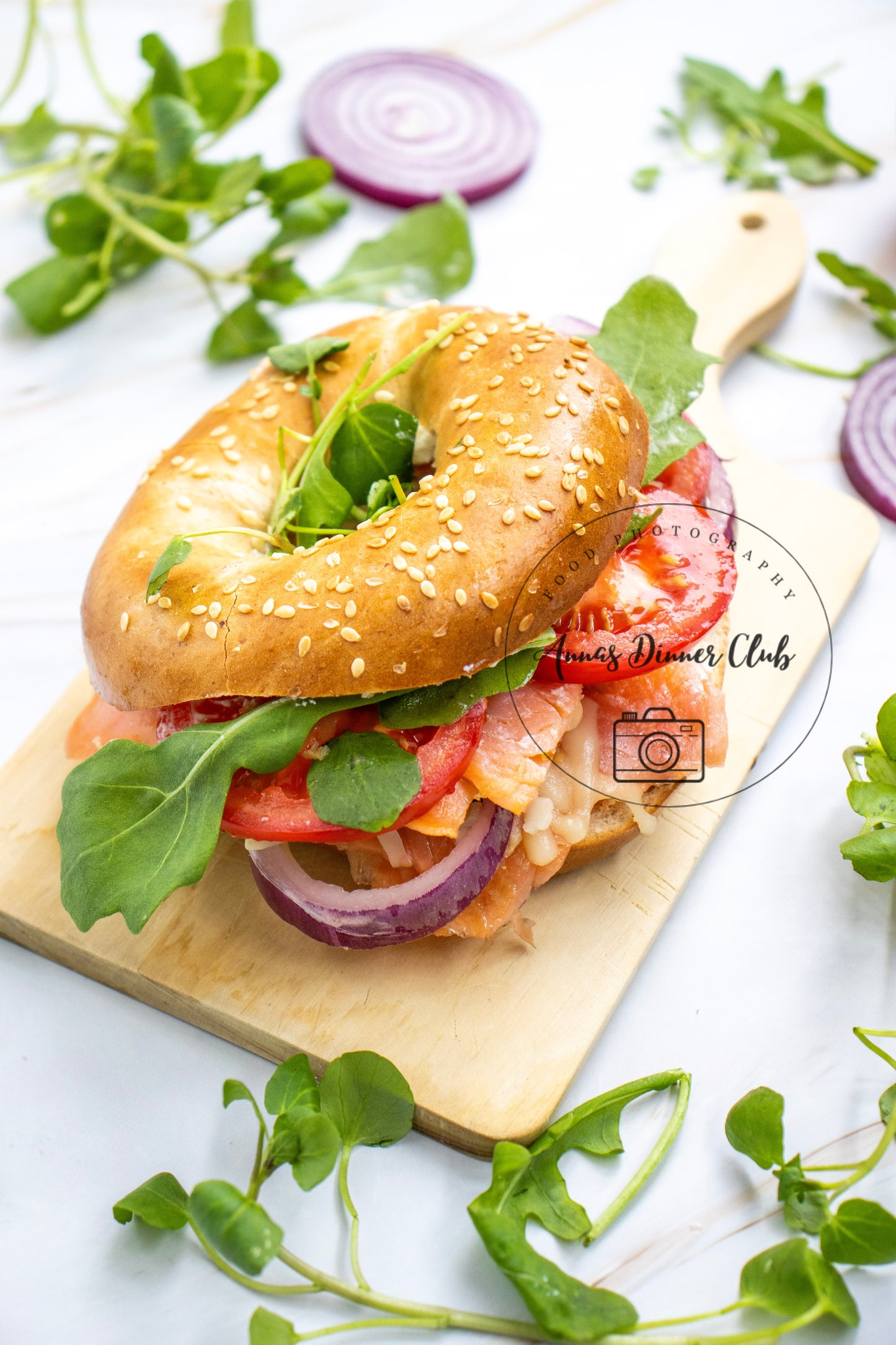 Smoked Salmon Bagel PLR limited set