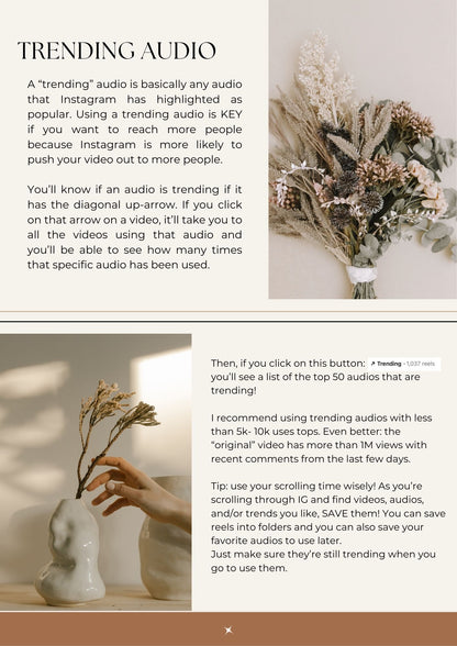 Faceless Reel Guide PLR MRR Canva editable