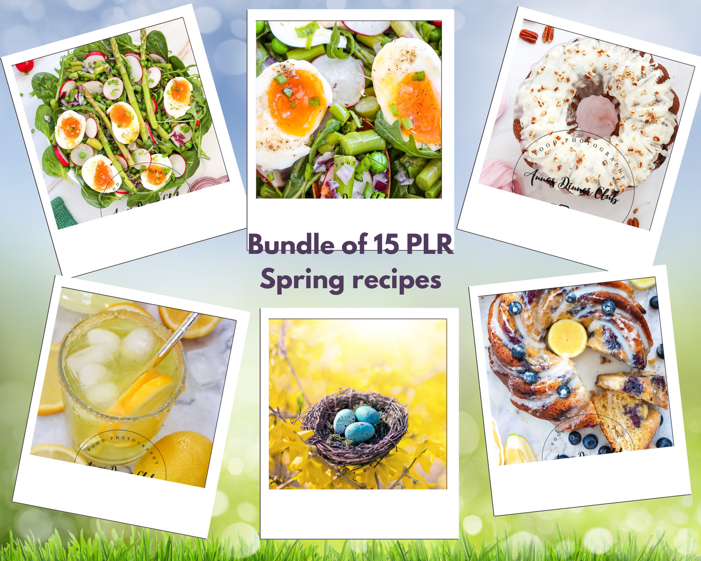 Bundle of 15 Spring recipes PLR set