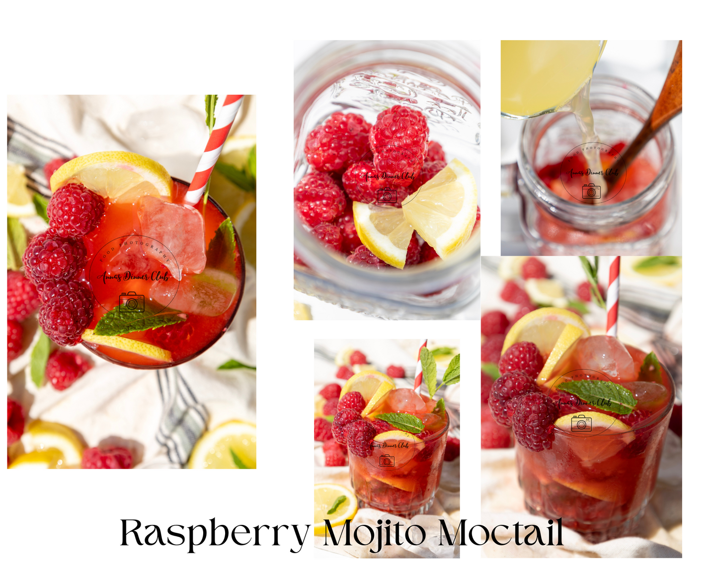 Bundle of 5 Mojito Mocktails PLR set