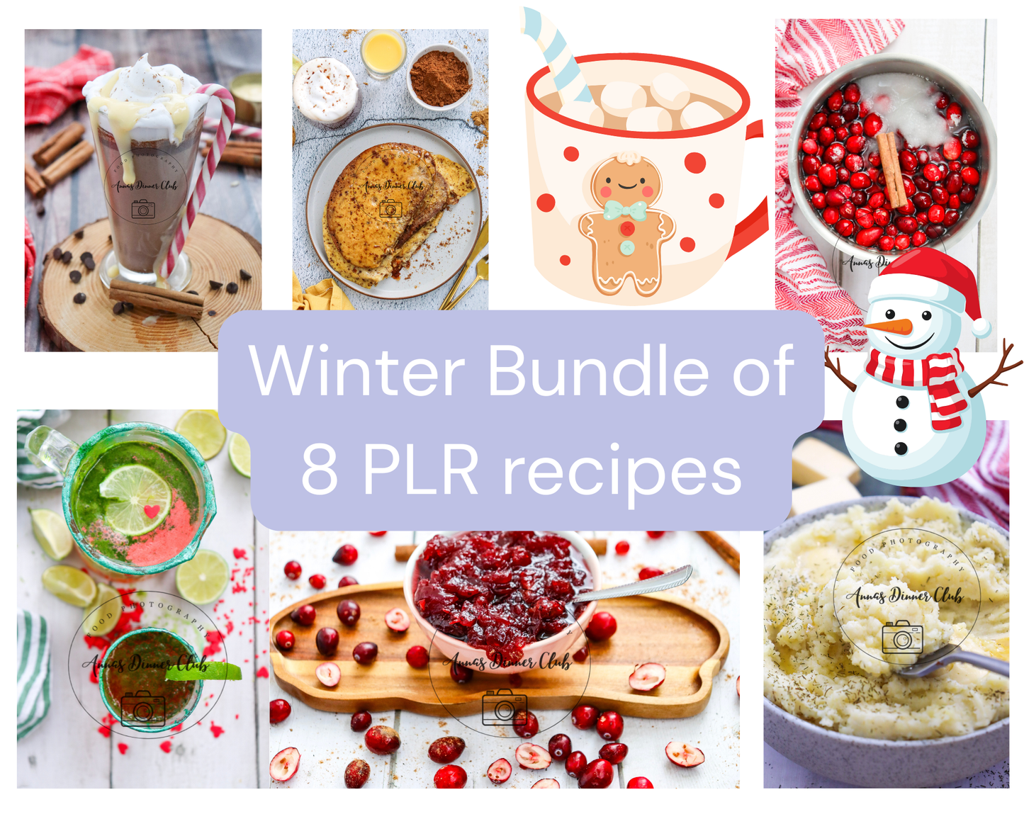 8 Winter recipes bundle  PLR set