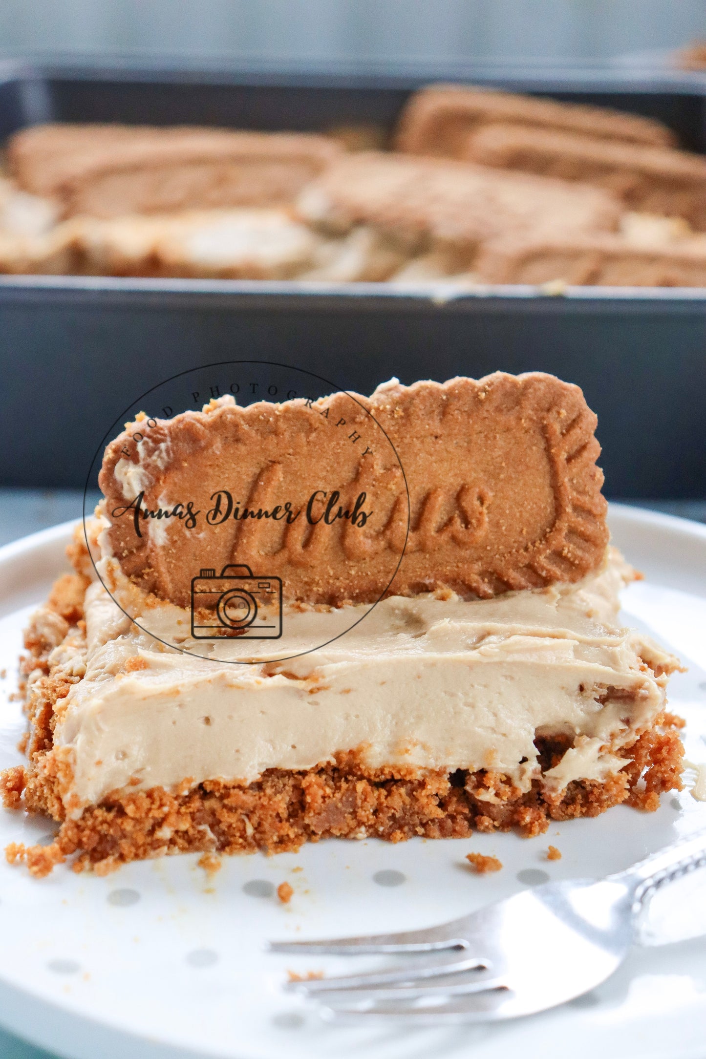No bake Biscoff cheesecake - PLR  set