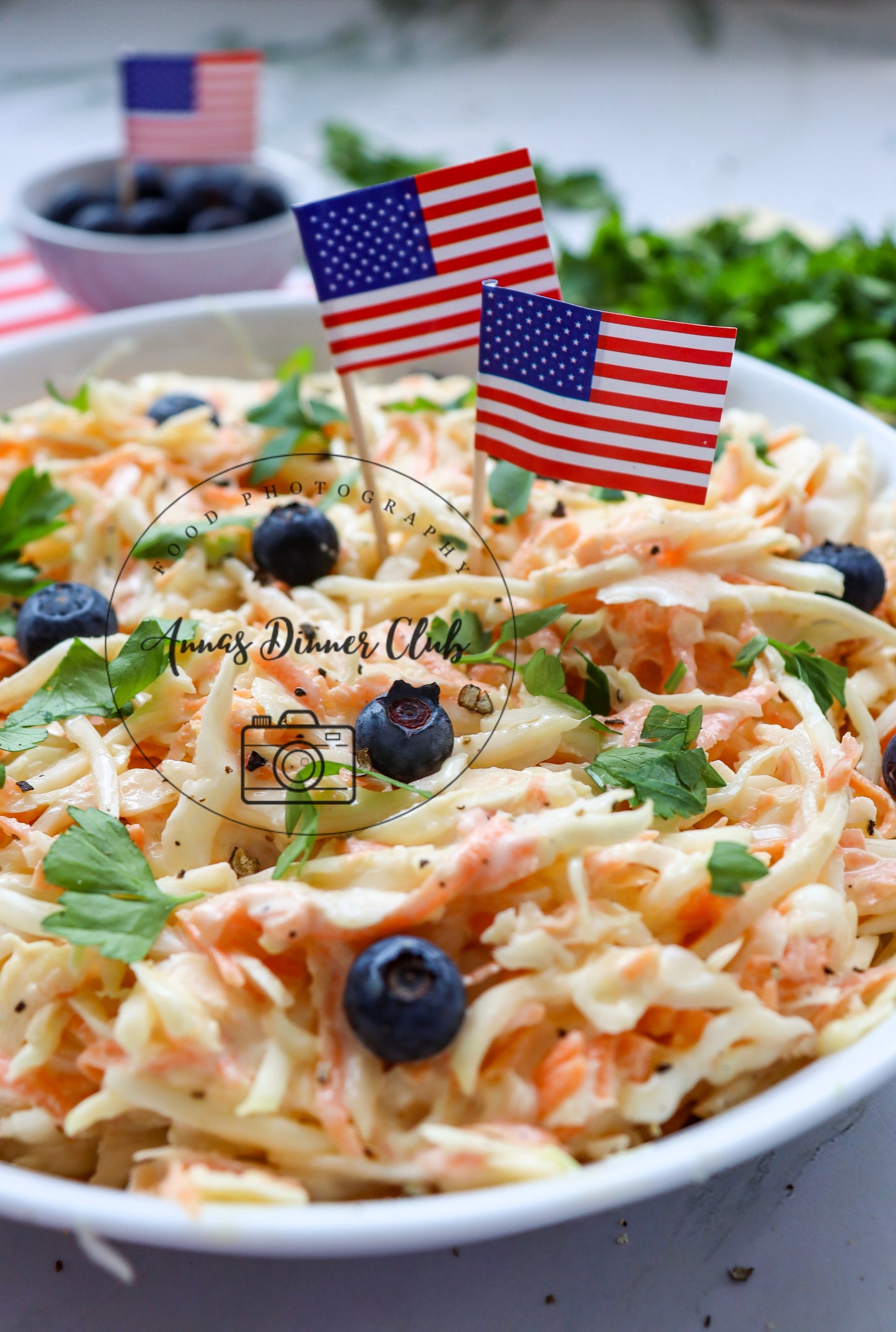 Classic 4th July Coleslaw PLR set