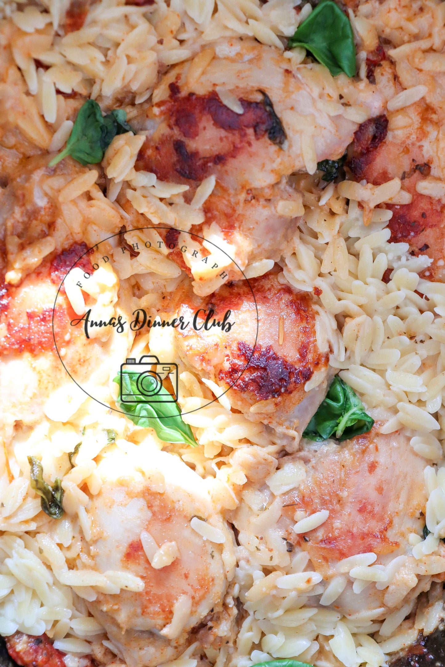 Slow Cooker Creamy Orzo pasta chicken semi exclusive set 1