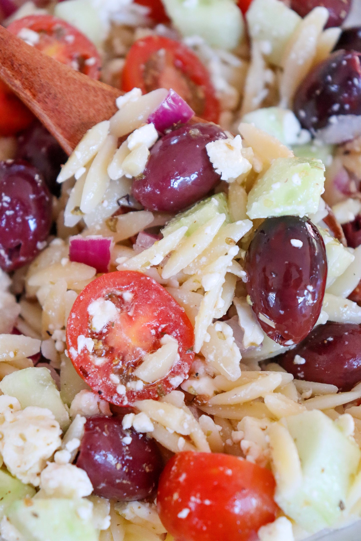 Mediterranean orzo  salad - semi exclusive set 1