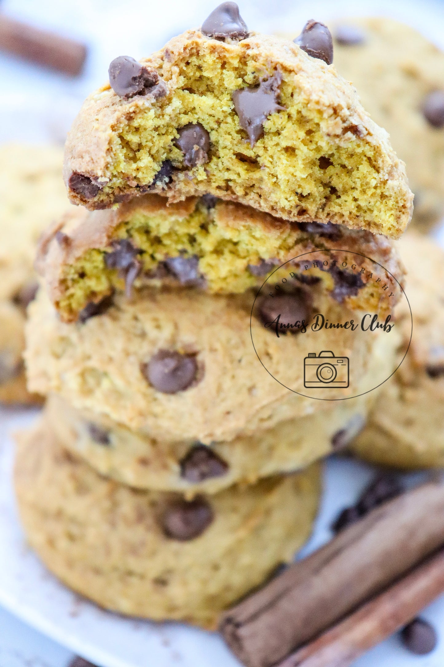Chocolate chip pumpkin cookies LIMITED PLR SET