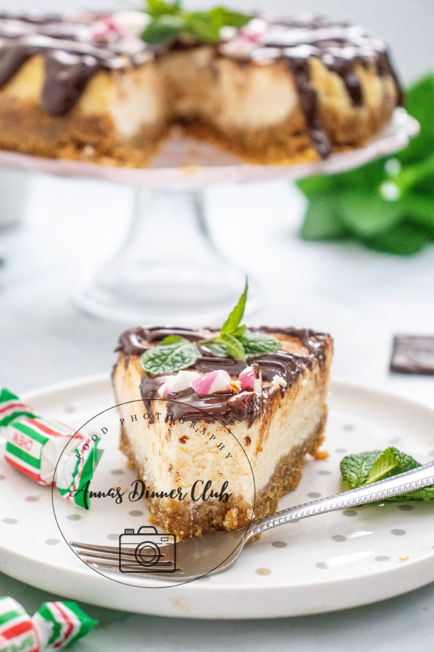 Peppermint Cheesecake with chocolate drizzle - exclusive set