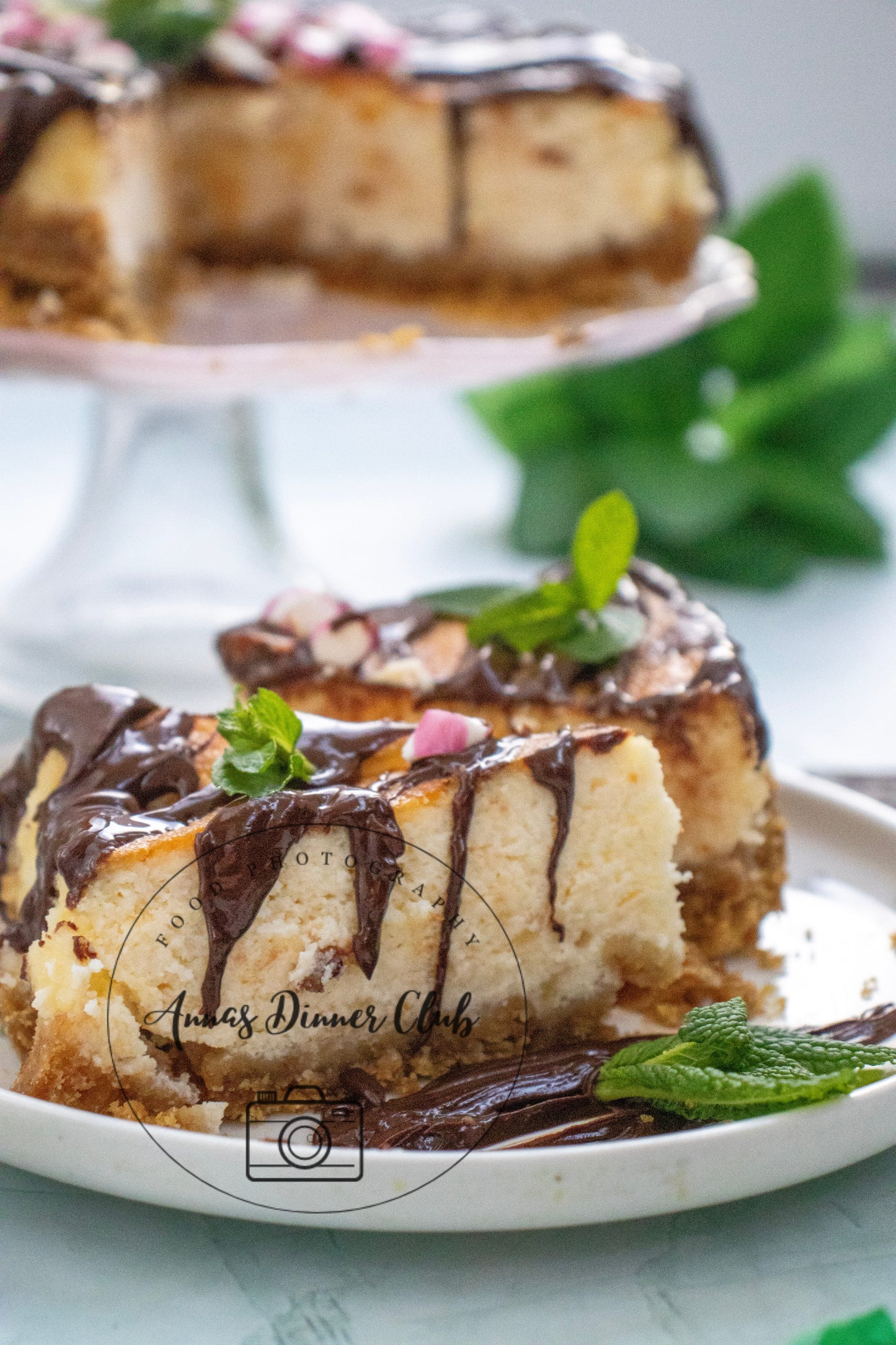 Peppermint Cheesecake with chocolate drizzle - exclusive set