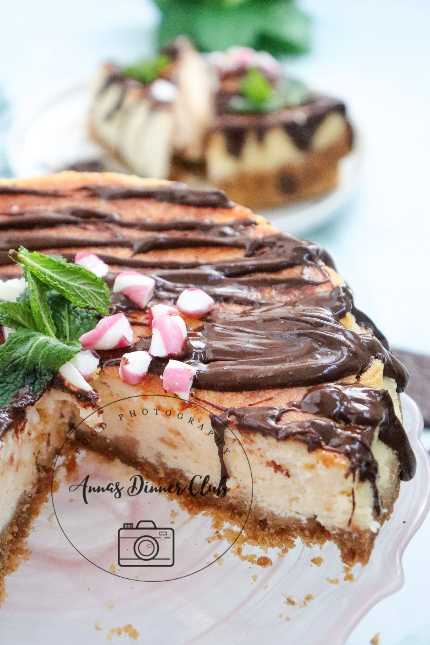 Peppermint Cheesecake with chocolate drizzle - exclusive set